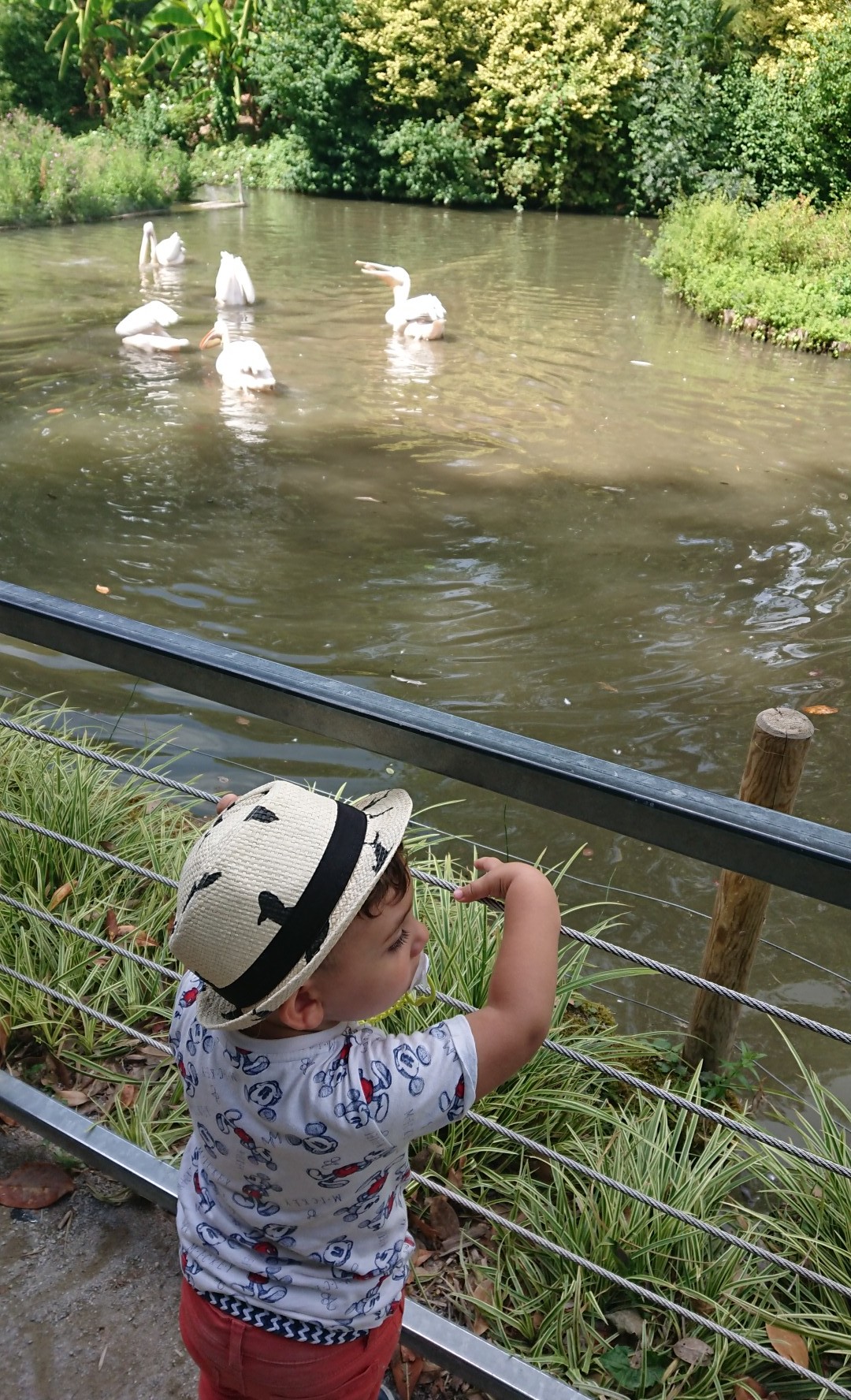 Photo n° 8 de l'avis de emelinetchems.e fait le 21/08/2018 à 06:53