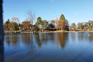 Otsukaike Park image