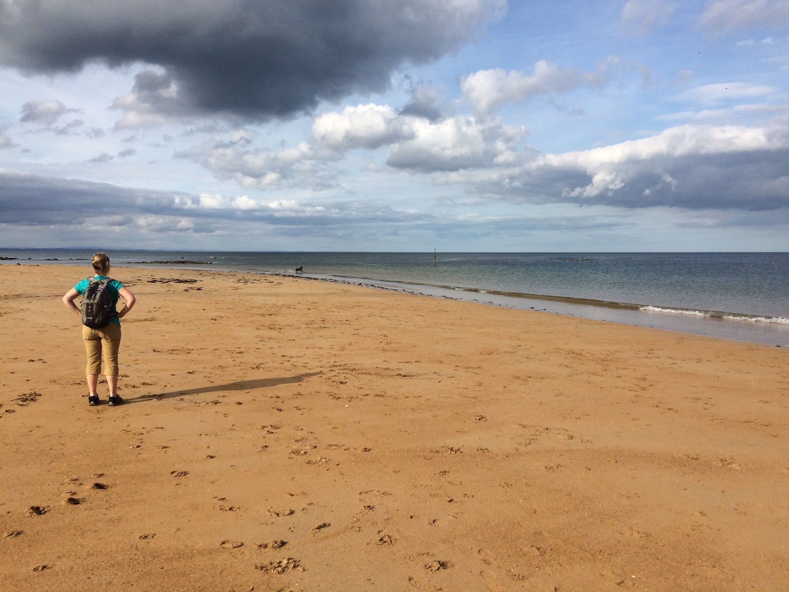 Photo of Kingsbarns Beach located in natural area