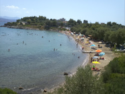 Foto von Drossia beach und die siedlung