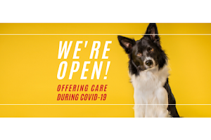 Puget Sound Veterinary Specialty & Emergency image