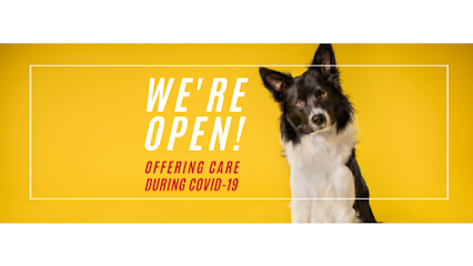Puget Sound Veterinary Specialty & Emergency