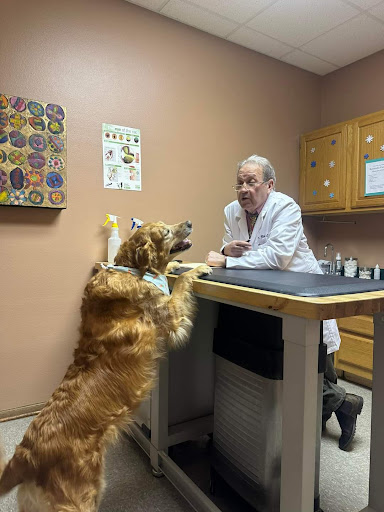 Polk City Veterinary Hospital image