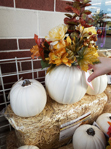 Craft Store «Michaels», reviews and photos, 3127 Silverlake Village Dr, Pearland, TX 77584, USA