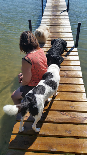 Grocery Store «Family Fare Supermarket», reviews and photos, 1002 Forest Ave, Frankfort, MI 49635, USA