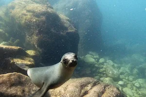 Dive in La Paz image