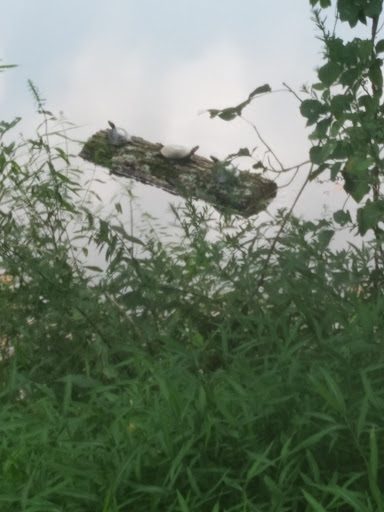 Country Club «Princeton Country Club», reviews and photos, 1 Wheeler Way, Princeton, NJ 08540, USA