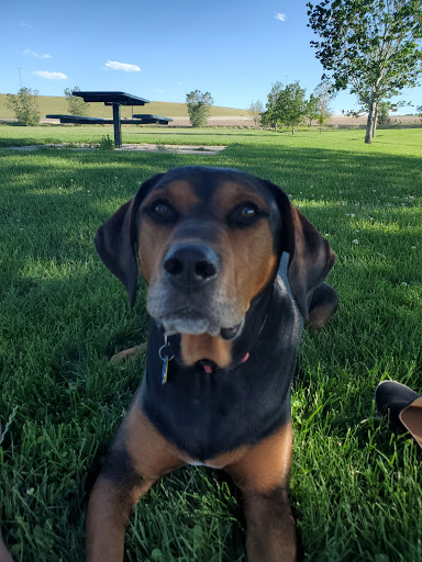 Golf Course «Kennedy Golf Course», reviews and photos, 10500 E Hampden Ave, Denver, CO 80014, USA