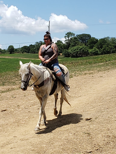 Horse riding lessons Pittsburgh