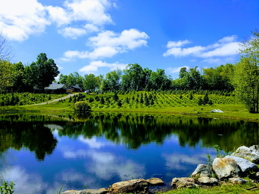 Outdoor Sports Store «Maple Hill Disc Golf», reviews and photos, 132 Marshall St, Leicester, MA 01524, USA