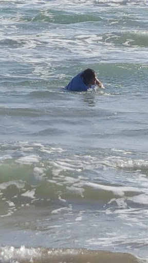 Shoe Store «DSW Designer Shoe Warehouse», reviews and photos, 3300 W Frontage Rd, McAllen, TX 78501, USA