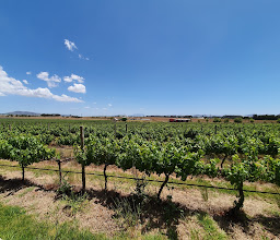 Eaglevlei photo