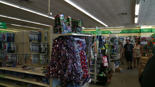 Dollar Store «Dollar Tree», reviews and photos, 248-56 Rockaway Blvd, Rosedale, NY 11422, USA