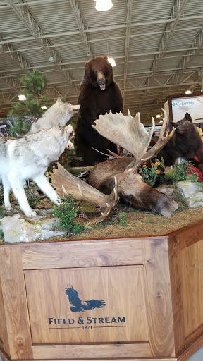 Outdoor Sports Store «Field & Stream», reviews and photos, 24600 Katy Fwy Ste 1100B, Katy, TX 77493, USA