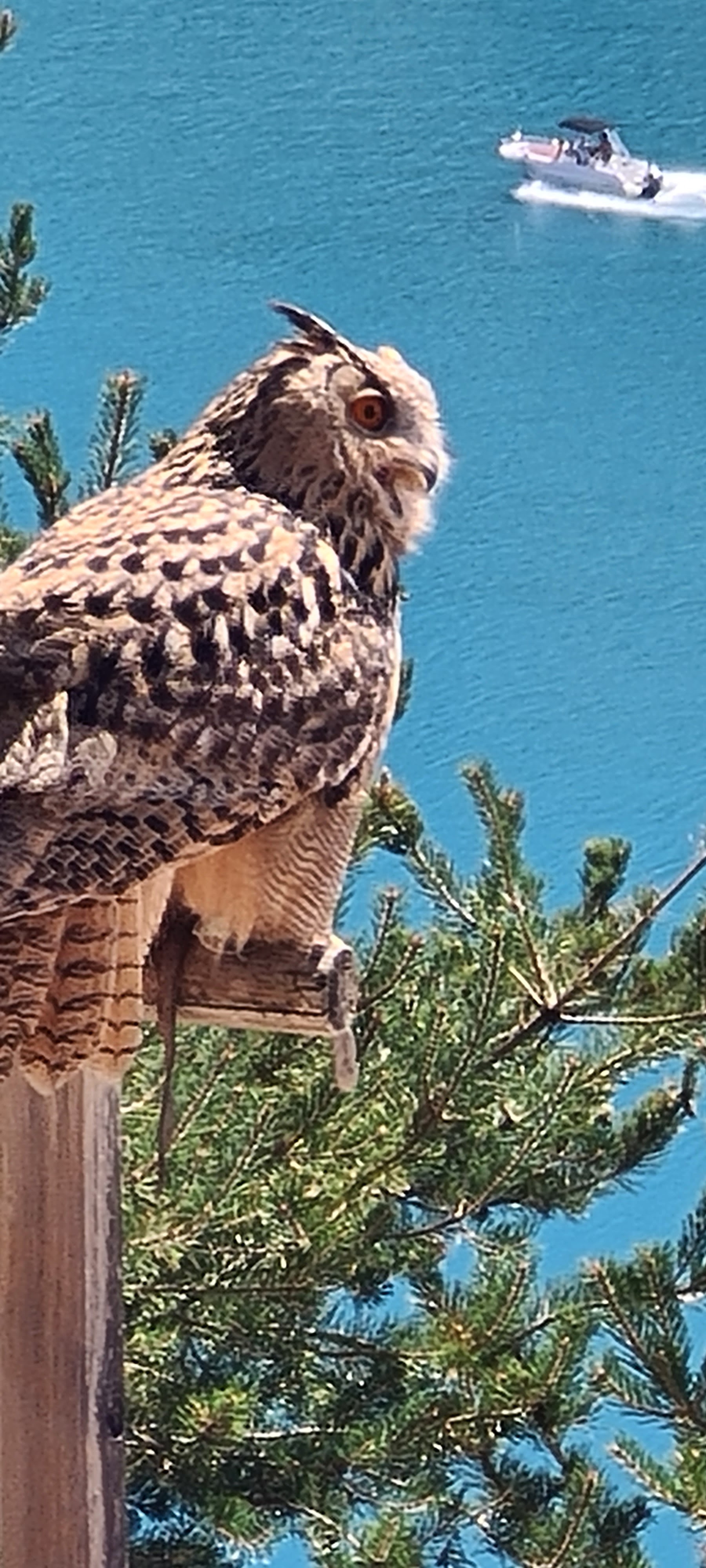 Photo n° 1 de l'avis de Sébastien.i fait le 22/08/2022 à 09:17
