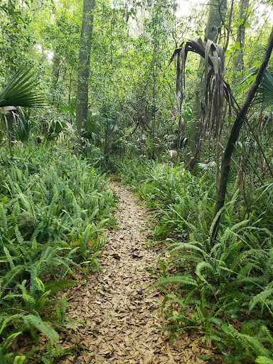 Nature Preserve «Tree Hill Nature Center», reviews and photos, 7152 Lone Star Rd, Jacksonville, FL 32211, USA