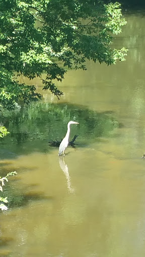 Nature Preserve «Forest Glen Woods», reviews and photos, 5420 N Forest Glen Ave, Chicago, IL 60630, USA