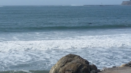 Live Music Venue «Bach Dancing & Dynamite Society», reviews and photos, 311 Mirada Rd, Half Moon Bay, CA 94019, USA