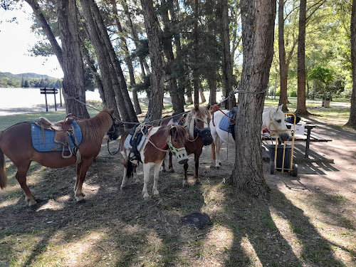 Ctre de Tourisme Equestre Equi-soleil à Veynes