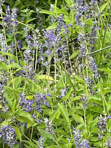 Golf Course «Glenbrook Park Golf Course», reviews and photos, 8205 N Bayou Dr, Houston, TX 77017, USA