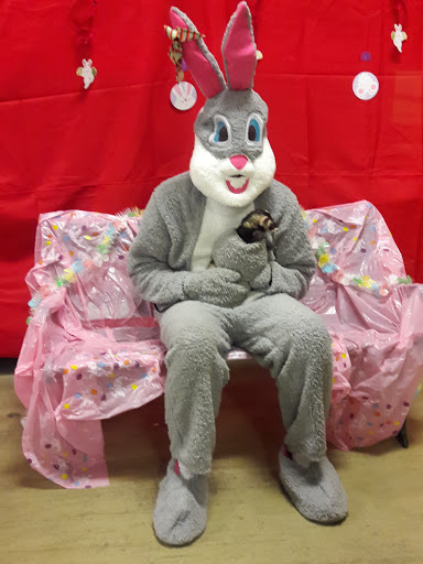 Pet Supply Store «PetSmart», reviews and photos, 1559 Merritt Blvd, Dundalk, MD 21222, USA