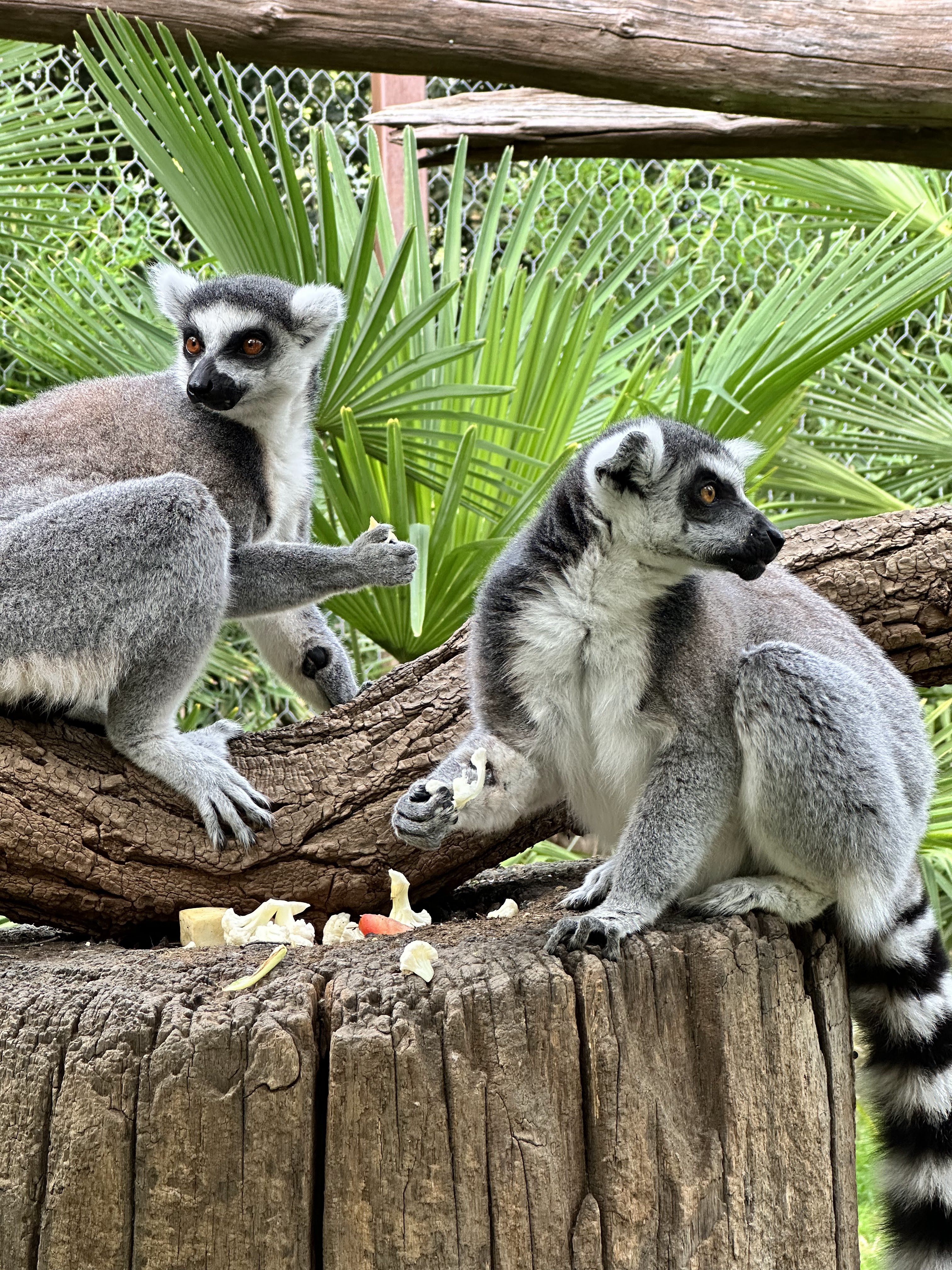 Photo n° 5 de l'avis de Tiffany.n fait le 25/09/2023 à 08:10