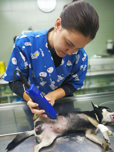 Clínica Veterinaria Capdevila Slp en Martorell