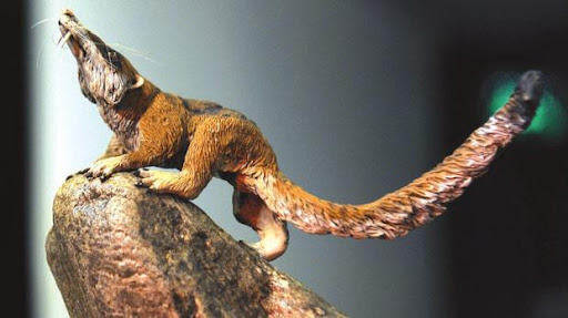 Bird Shop «Bird House», reviews and photos, 1020 NJ-18 E, East Brunswick, NJ 08816, USA