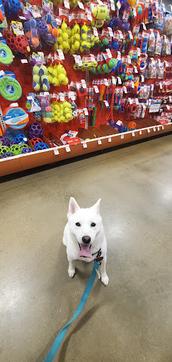 Pet Supply Store «PetSmart», reviews and photos, 11400 Financial Centre Pkwy, Little Rock, AR 72211, USA