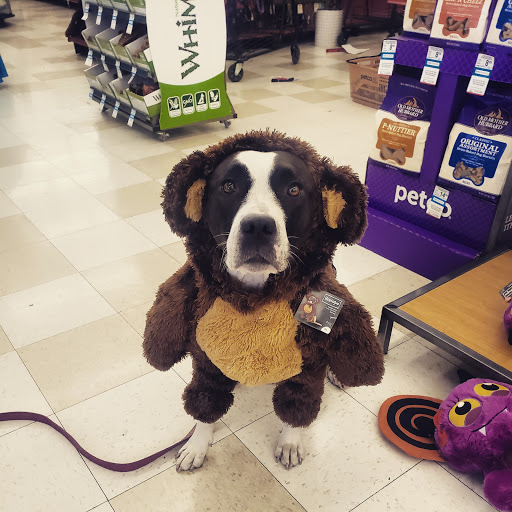 Pet Supply Store «Petco Animal Supplies», reviews and photos, 12163 Sheridan Blvd, Broomfield, CO 80020, USA