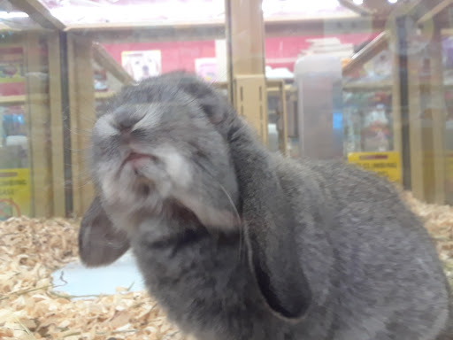 Pet Supply Store «Pet Supermarket, Inc.», reviews and photos, 598 N McCarran Blvd, Sparks, NV 89431, USA