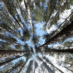 Photo n°8 de l'avis de Franca.u fait le 14/05/2023 à 16:16 sur le  Ristorante I Giganti della Sila à Camigliatello Silano