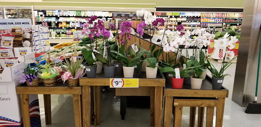 Grocery Store «Winn-Dixie», reviews and photos, 9864 Stringfellow Rd, St James City, FL 33956, USA