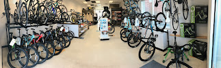 Bike Tech Sam - Photo 6 - Car repair in Superior, CO, Thornton