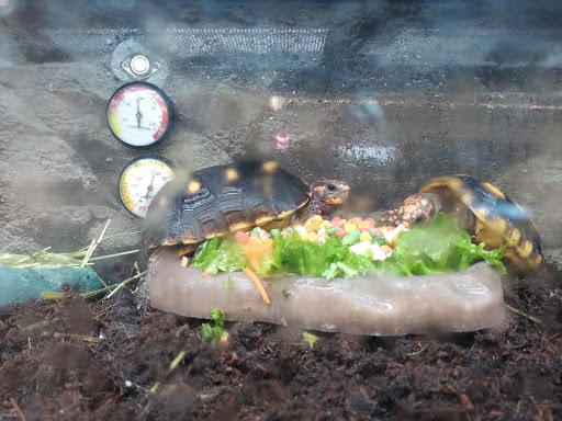 Pet Supply Store «Petco Animal Supplies», reviews and photos, G3559 Miller Rd, Flint, MI 48507, USA