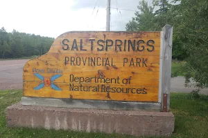 Salt Springs Provincial Park image