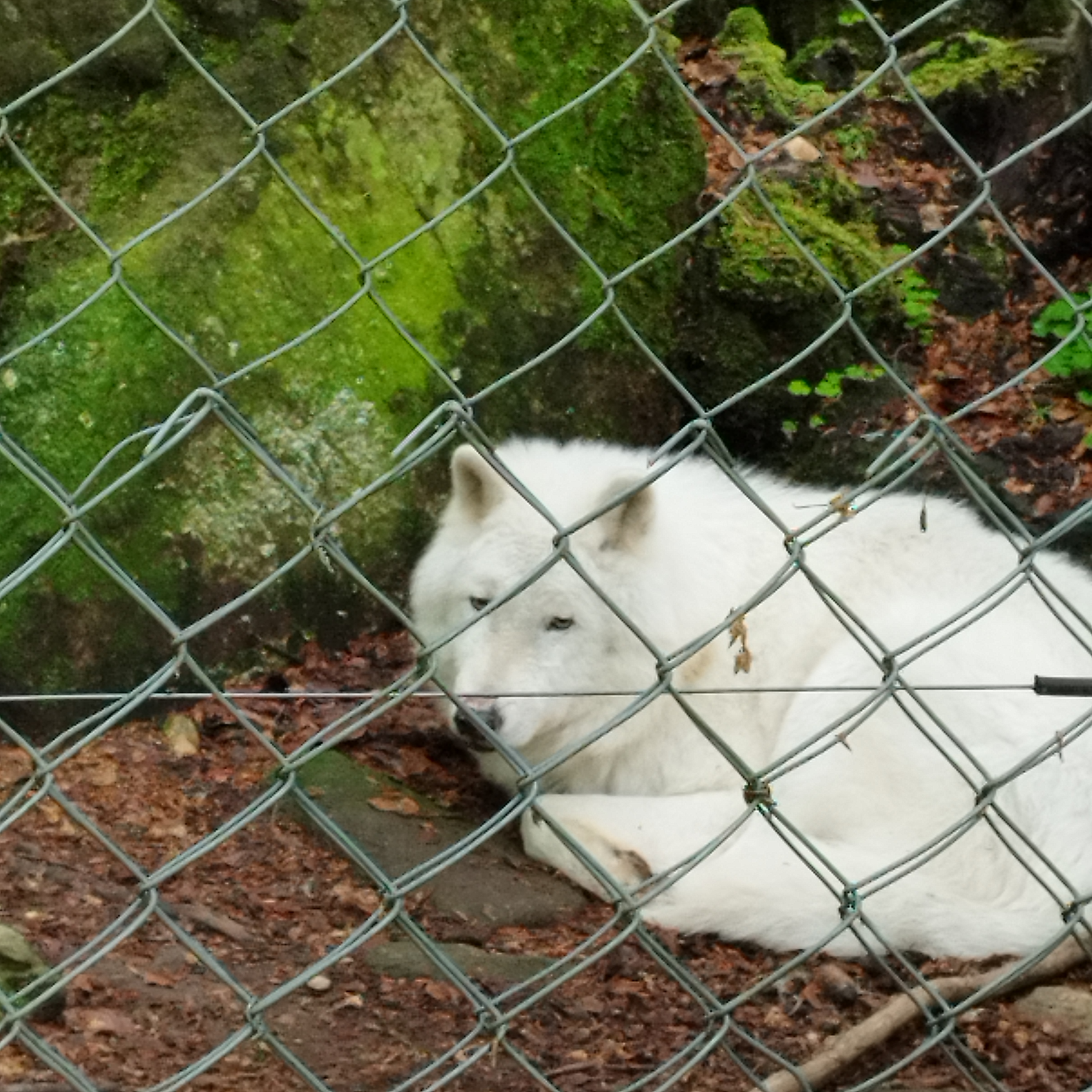Photo n° 5 de l'avis de Damien.o fait le 16/05/2023 à 16:43