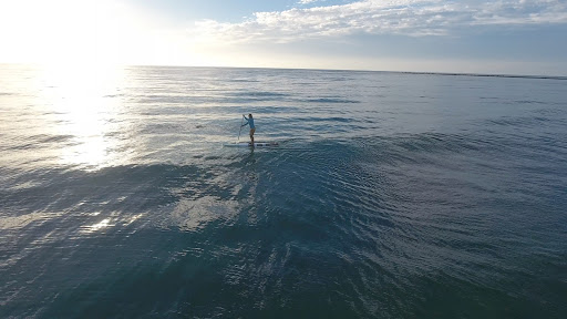 Canoe & Kayak Rental Service «Sea Sup Go Paddle & Surf Company», reviews and photos, 40 Royal Palm Pointe, Vero Beach, FL 32960, USA