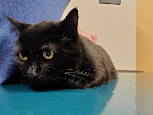 15151 Hickman Rd, Clive, IA 50325, USA