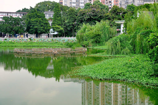 Liwanhu Park （East Gate）