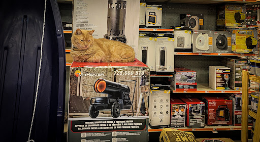 Hardware Store «Aubuchon Hardware», reviews and photos, 87 W Stafford Rd, Stafford Springs, CT 06076, USA