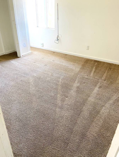 Carpet & Upholstery Cleaning Concord
