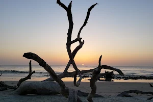 Driftwood Beach image