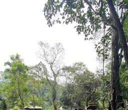 Candi Sumberawan photo