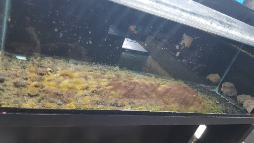 Animal Feed Store «Franklin Hardware & Pet Center», reviews and photos, 1975 Philadelphia Ave, Chambersburg, PA 17201, USA