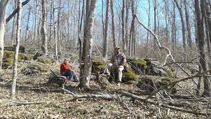 Harrison-Crawford State Forest