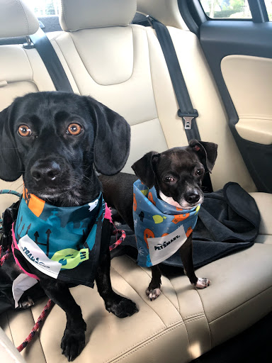 Pet Supply Store «PetSmart», reviews and photos, 1410 NE 23rd St, Pompano Beach, FL 33062, USA