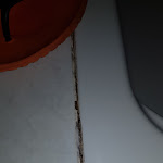 Photo n°6 de l'avis de Julius. fait le 06/07/2019 à 18:02 sur le  Hotel Gasthaus Post à Freienfeld