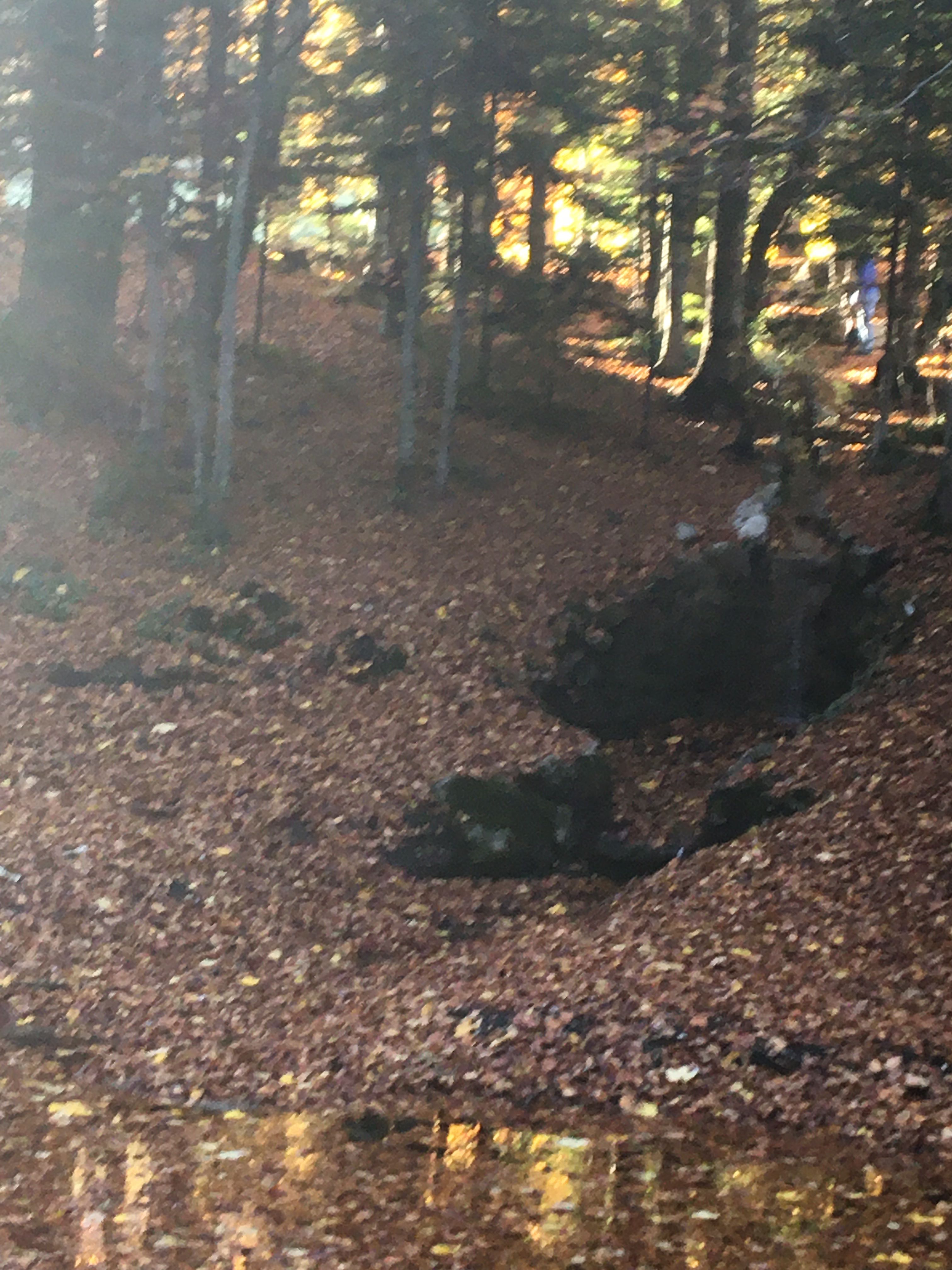 Photo n° 9 de l'avis de Jean-Paul.h fait le 03/11/2021 à 13:46