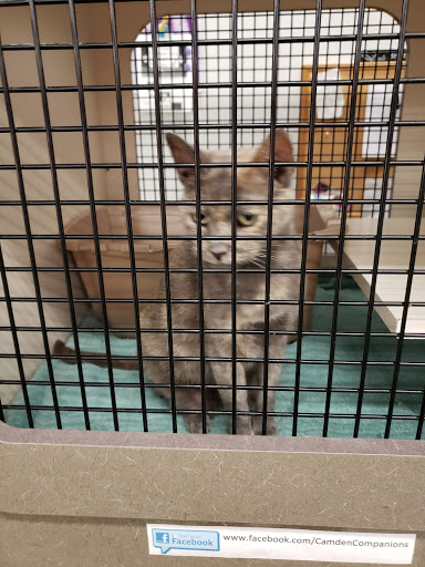 Pet Supply Store «Petco Animal Supplies», reviews and photos, 2230 Marlton Pike W #3, Cherry Hill, NJ 08002, USA